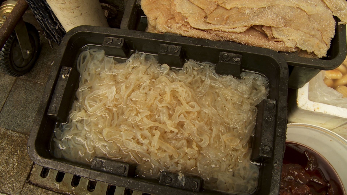 Answer: julienne dried jellyfish                  